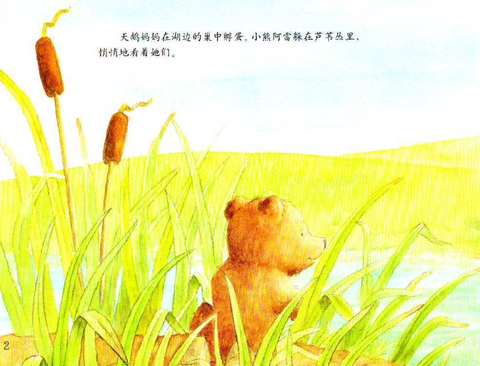 小熊孵蛋 (03),绘本,绘本故事,绘本阅读,故事书,童书,图画书,课外阅读